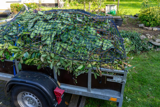 Moving and Downsizing Cleanouts in Lebanon, OR